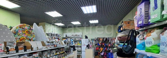 Свободного назначения, 165 м2 Барнаул - изображение 5