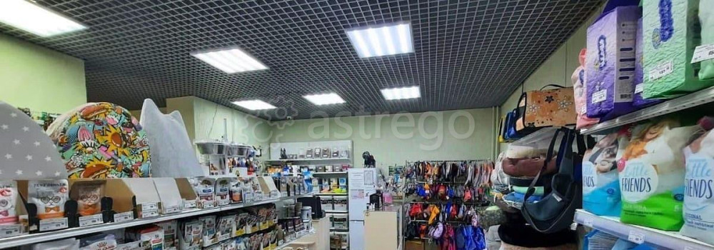 Свободного назначения, 165 м2 Барнаул - изображение 5
