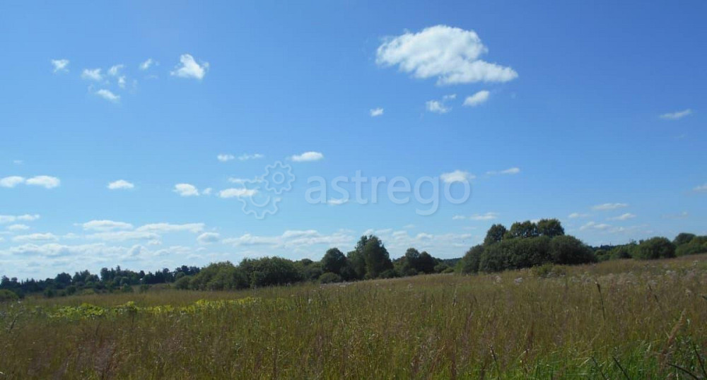 Земельный участок, 20.05 сотки Шаховская - изображение 1