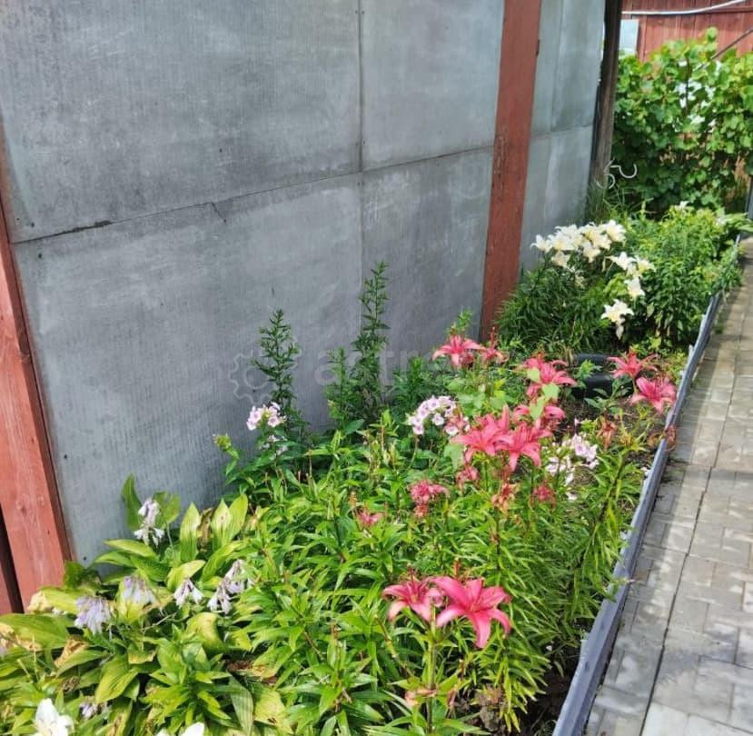 Дом, 52 м2, 16 соток, 1 эт. Алтайское - изображение 5