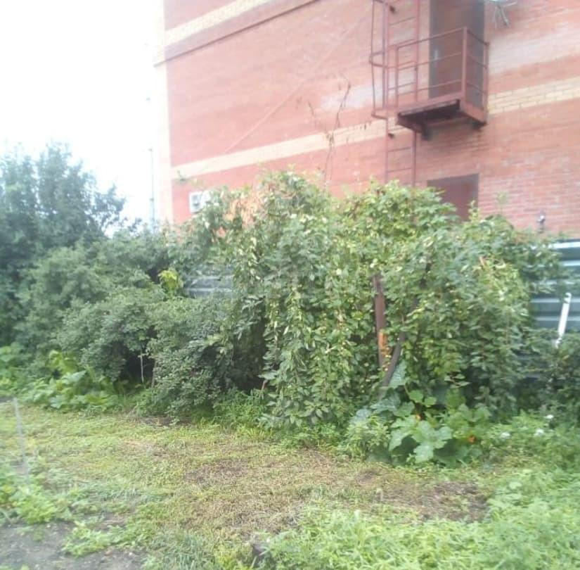 Дом, 45.5 м2, 7.23 сотки, 1 эт. Благовещенск - изображение 2