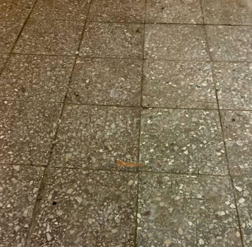 Производственное, 3320 м2 Сергиев Посад - изображение 4