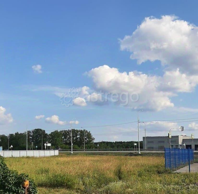 Коммерческий участок, 20 соток Барнаул - изображение 2