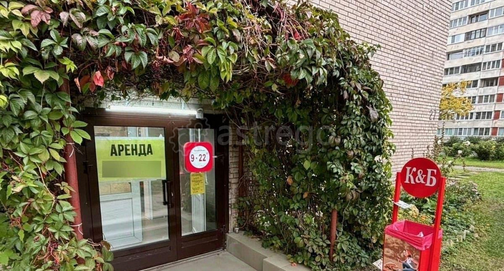 Свободного назначения, 75 м2 Санкт-Петербург - изображение 3