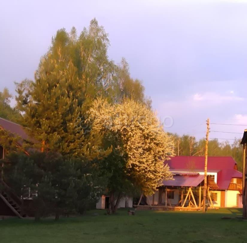 Готовый бизнес, 280 м2 Алтайское - изображение 4