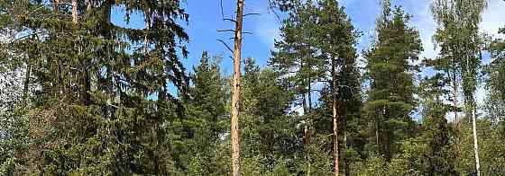 Земельный участок, 7.74 сотки Электроугли