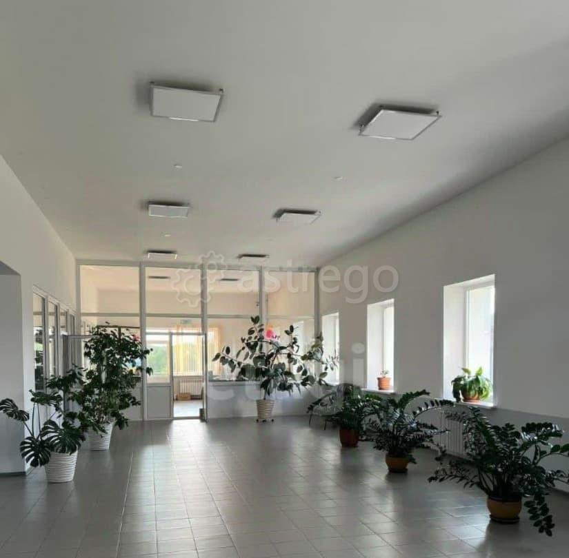 Офис, 400 м2 Благовещенск - изображение 2