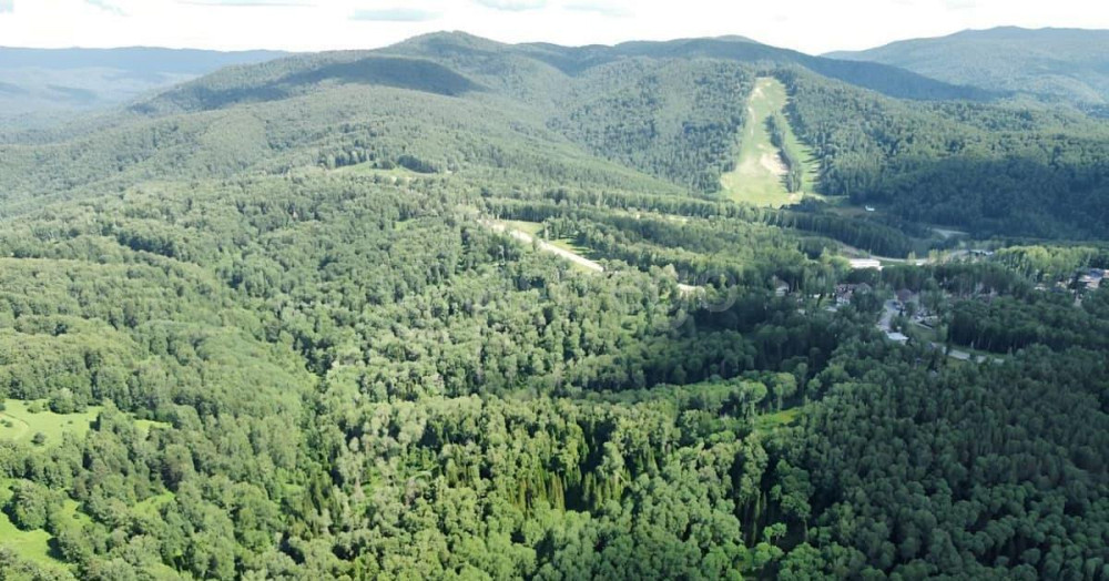 Коммерческий участок, 2.88 га Белокуриха - изображение 3