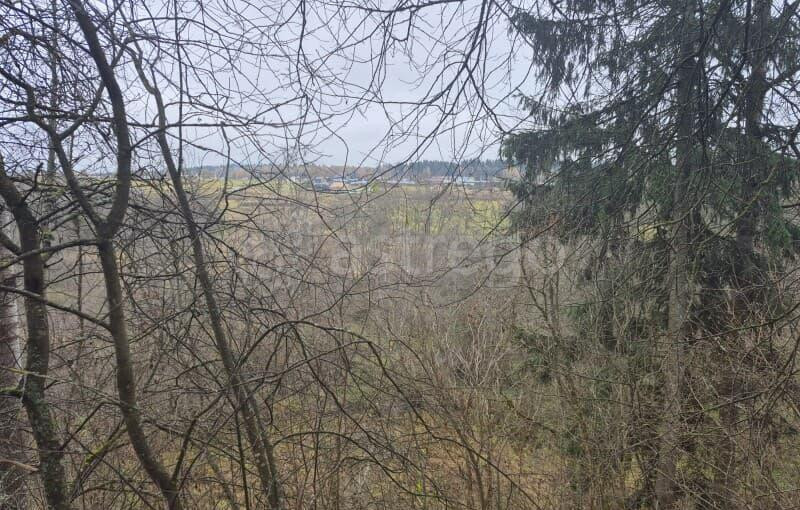 Коммерческий участок, 8.39 га Можайск - изображение 5