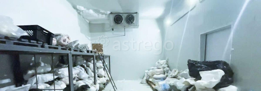 Производственное, 1000 м2 Благовещенск - изображение 4