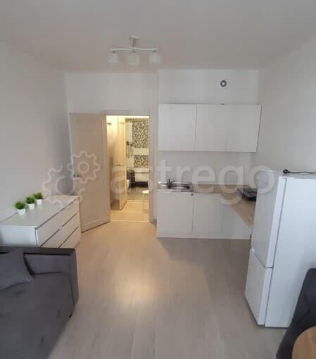 Студия, 26 м2, 5/16 эт. Барнаул - изображение 3