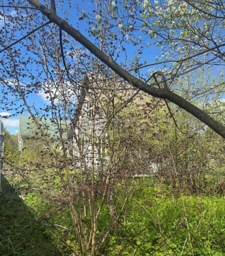 Дача, 45 м2 Чехов - изображение 4