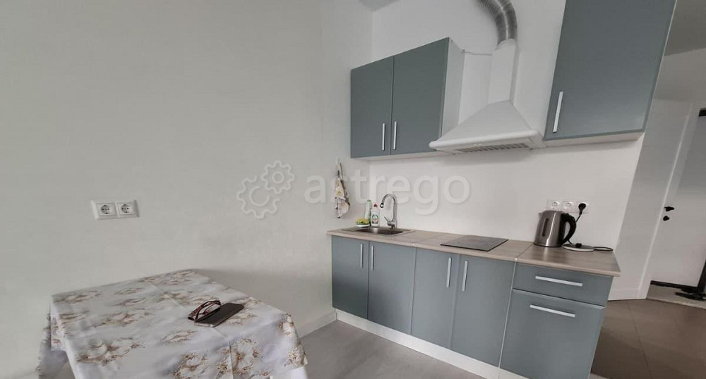 Студия, 30 м2, 3/17 эт. Старая Купавна - изображение 3