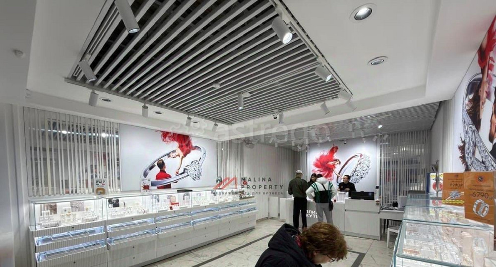 Торговое помещение, 48 м2 Дедовск - изображение 5