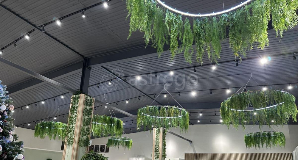 Свободного назначения, 435 м2 Красноярск - изображение 6