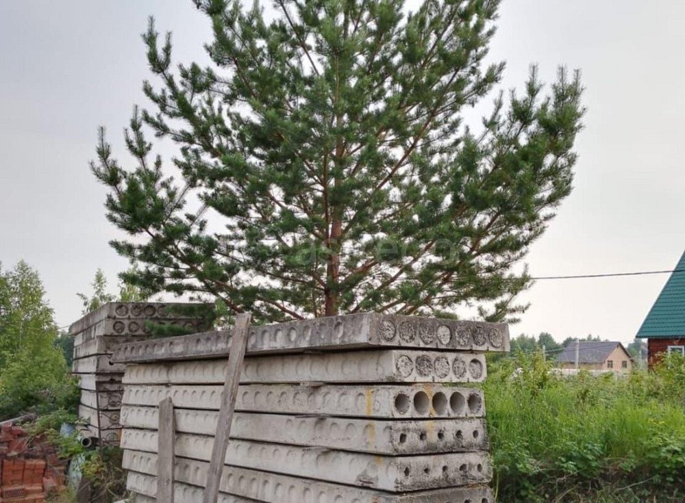 Земельный участок, 10 соток Зеленогорск - изображение 2