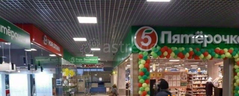 Свободного назначения, 550 м2 Белгород - изображение 3