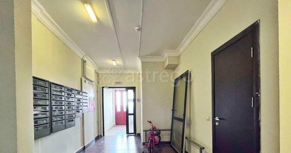 Студия, 28 м2, 3/8 эт. Видное - изображение 3