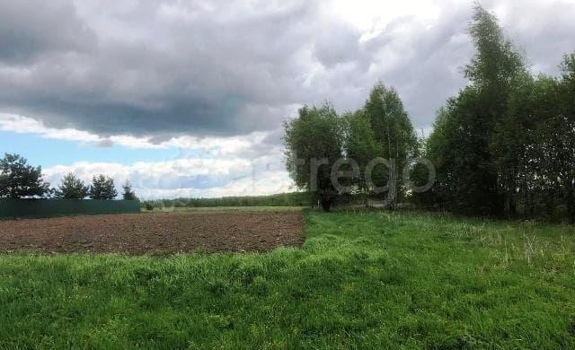 Земля с/х назначения, 30 соток Егорьевск - изображение 2