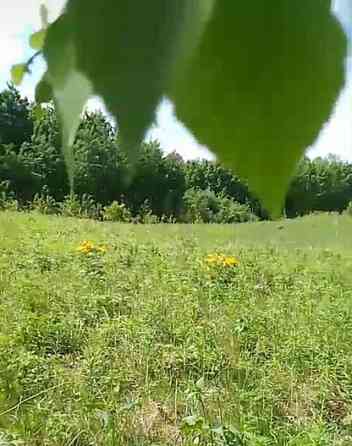 Земельный участок, 10 соток Емельяново