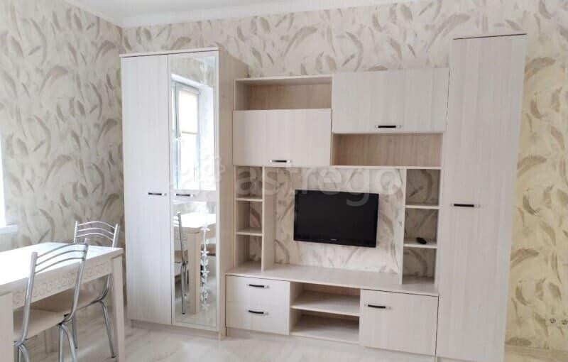 Студия, 24 м2, 14/17 эт. Домодедово - изображение 4