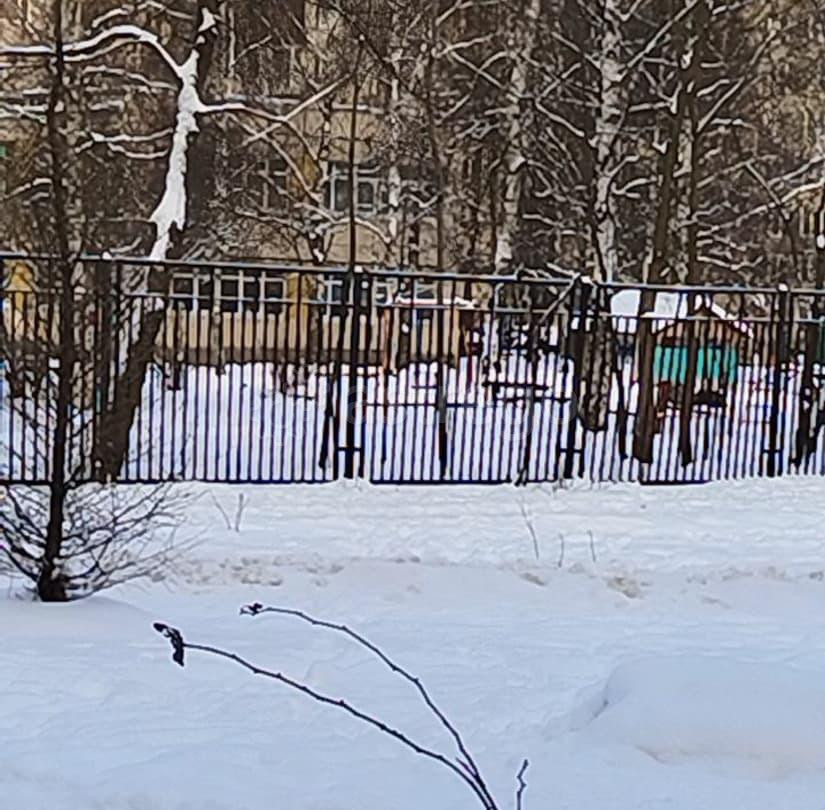 3-комн. квартира, 59 м2, 4/9 эт. Санкт-Петербург - изображение 5