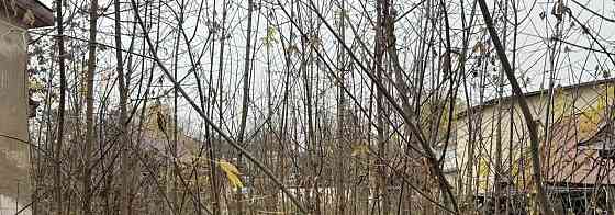 Земельный участок, 14 соток Пушкино