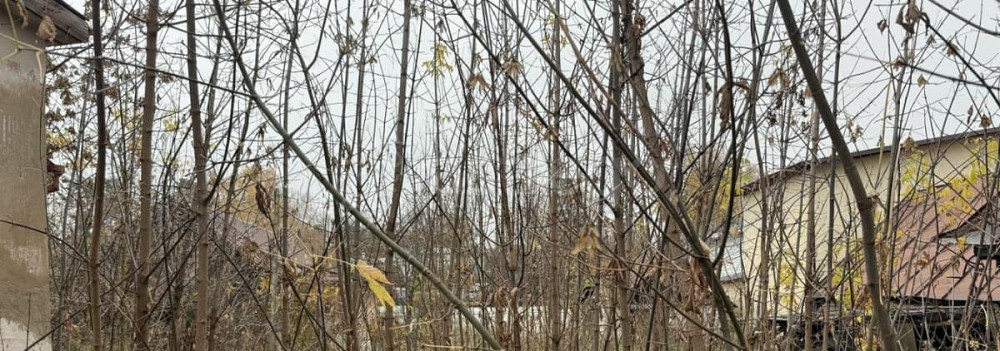 Земельный участок, 14 соток Пушкино - изображение 6