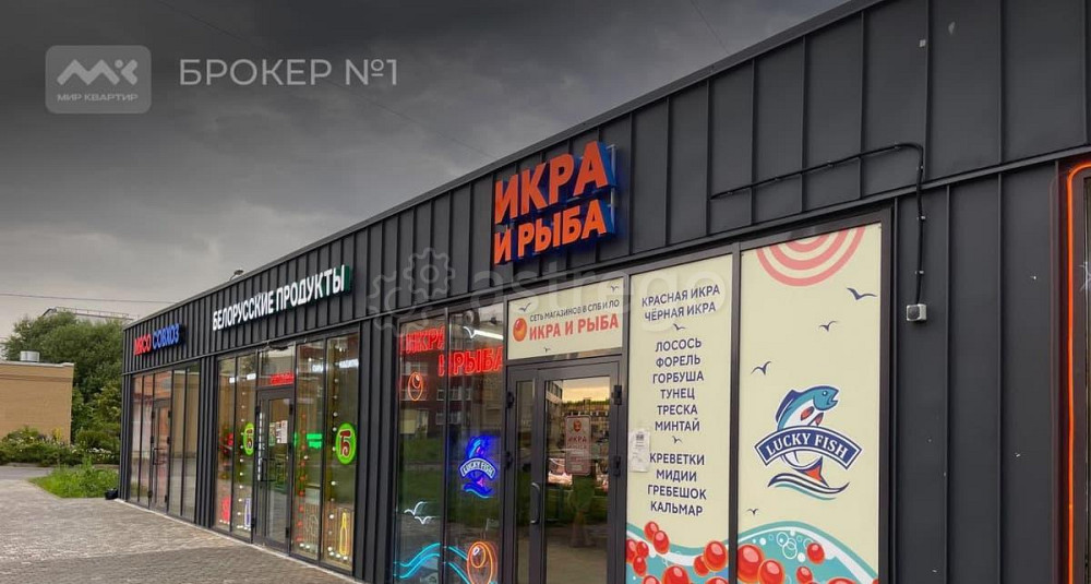 Торговое помещение, 205 м2 Санкт-Петербург - изображение 7