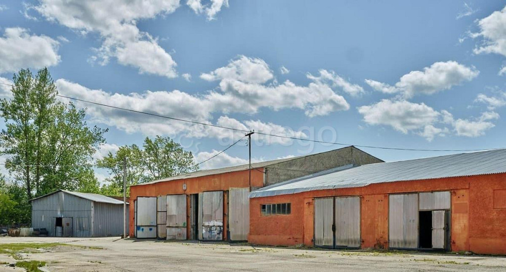Производственное, 433.8 м2 Можайск - изображение 6
