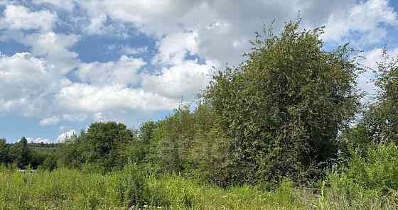 Дом, 31.4 м2, 10 соток, 1 эт. Свободный