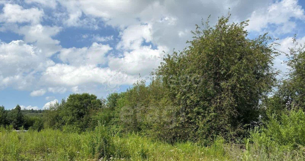 Дом, 31.4 м2, 10 соток, 1 эт. Свободный - изображение 4