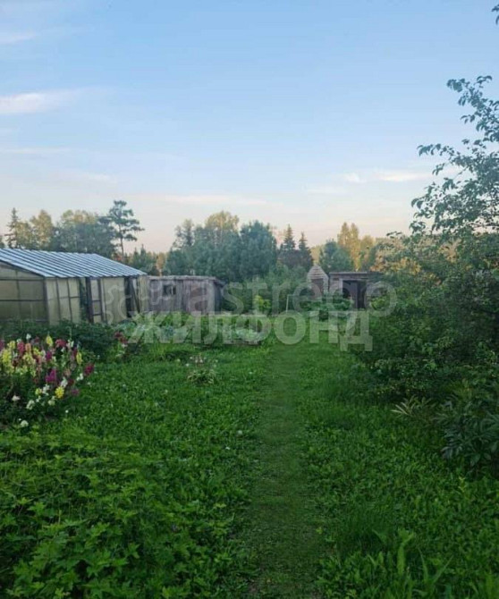 Дом, 35.9 м2, 26 соток Емельяново - изображение 4