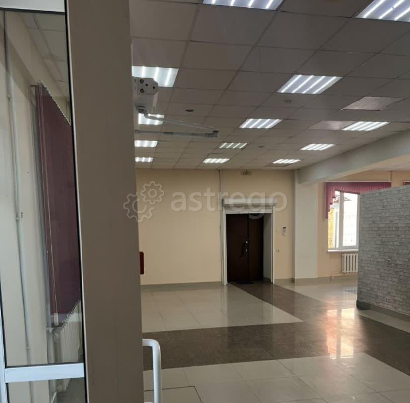 Торговое помещение, 275 м2 Благовещенск - изображение 6