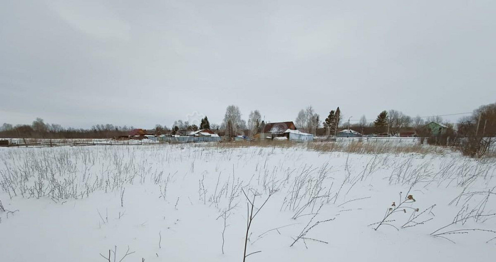 Земельный участок, 18 соток Алтайское - изображение 6