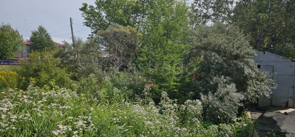 Продам участок, Садовый 10 соток Южно-Сахалинск - изображение 8