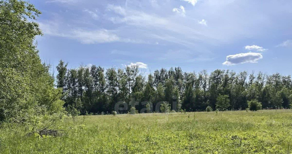 Земельный участок, 21.6 га Кармаскалы - изображение 3