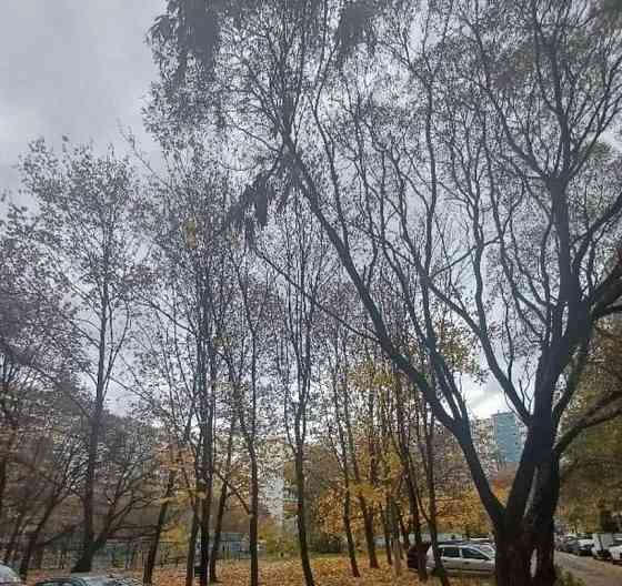 Комната, 17 м2, 1/10 эт. Королев