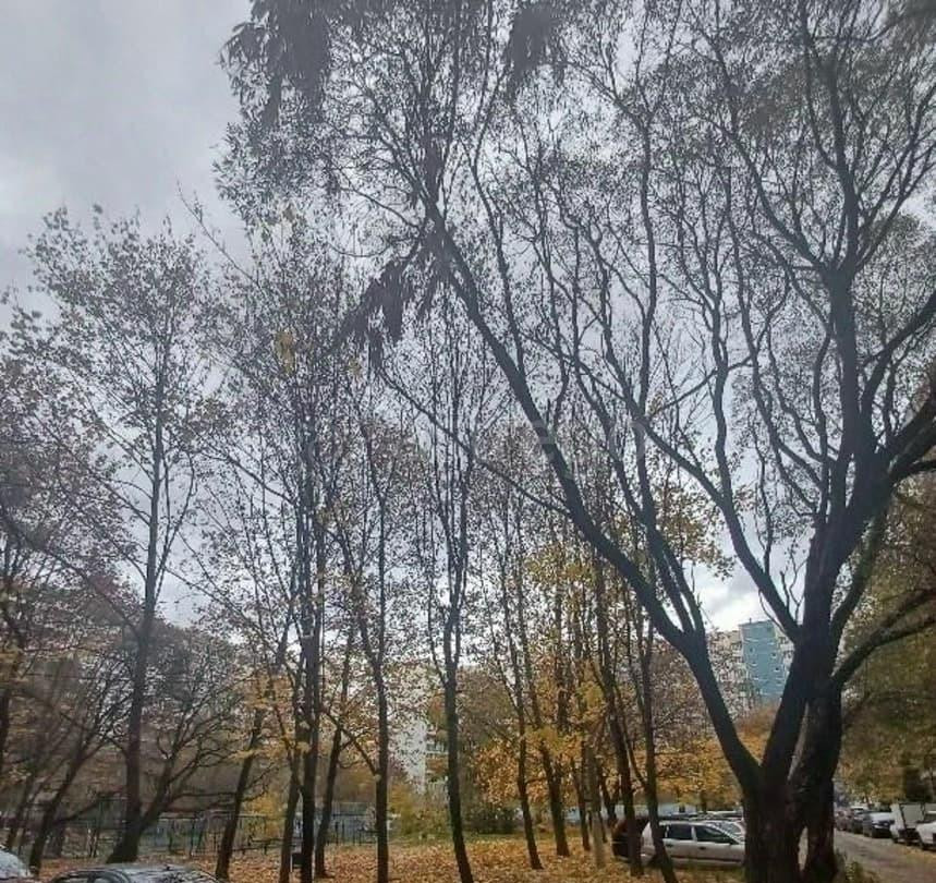 Комната, 17 м2, 1/10 эт. Королев - изображение 2