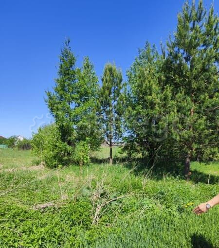 Земля с/х назначения, 9 соток Сосновоборск - изображение 4