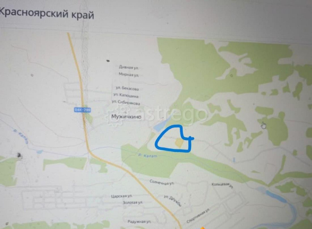 Земельный участок, 0.96 га Емельяново - изображение 1