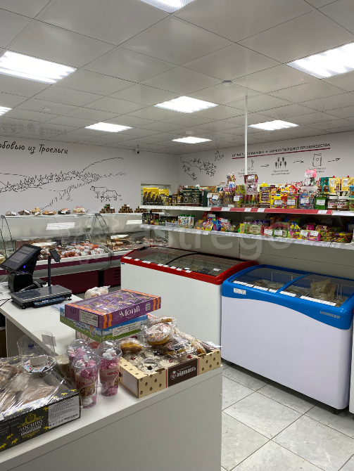 Продам торговое помещение, 72 м2 Пермь - изображение 7