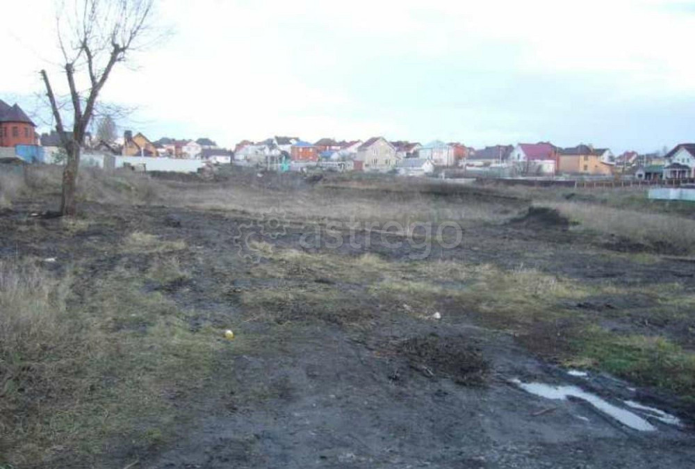 Земельный участок, 26 соток Дубовое - изображение 4