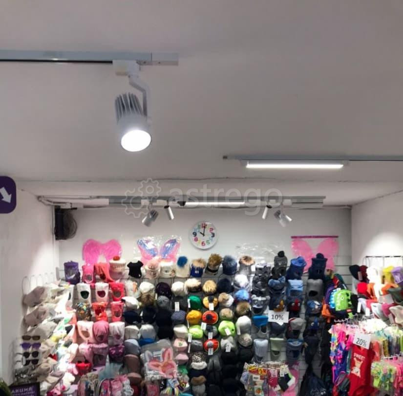 Готовый бизнес, 100 м2 Барнаул - изображение 4