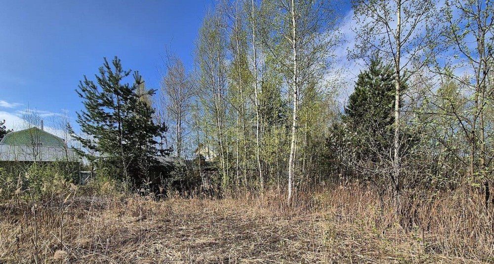 Земельный участок, 4.52 сотки Электрогорск - изображение 5