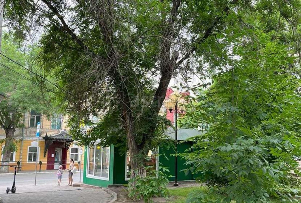 Торговое помещение, 38 м2 Астрахань - изображение 3