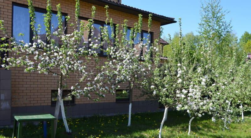 Коттедж, 500 м2 Солнечногорск - изображение 3