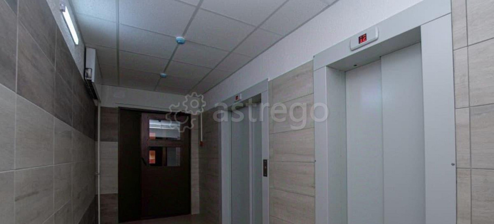 Студия, 24.9 м2, 12/14 эт. Красноярск - изображение 2