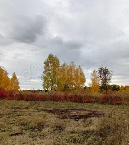 Земля с/х назначения, 12.38 га Кармаскалы - изображение 10