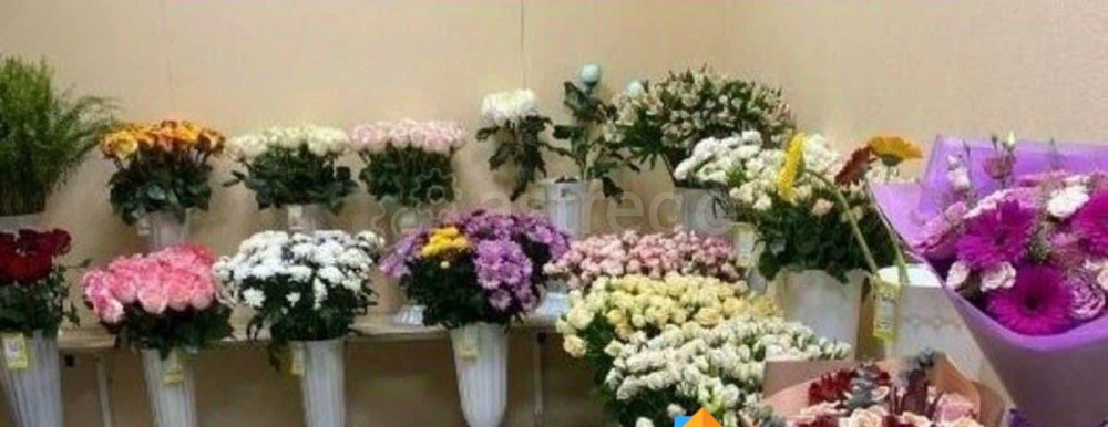 Готовый бизнес, 80 м2 Санкт-Петербург - изображение 2